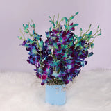 Mesmerising Blue Orchids Vase