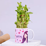 Womens Day Special Lucky Bamboo Plant