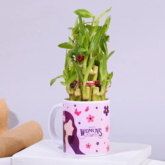 Womens Day Special Lucky Bamboo Plant